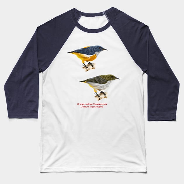 Orange-bellied Flowerpecker | Dicaeum trigonostigma ⚥ Baseball T-Shirt by bona 